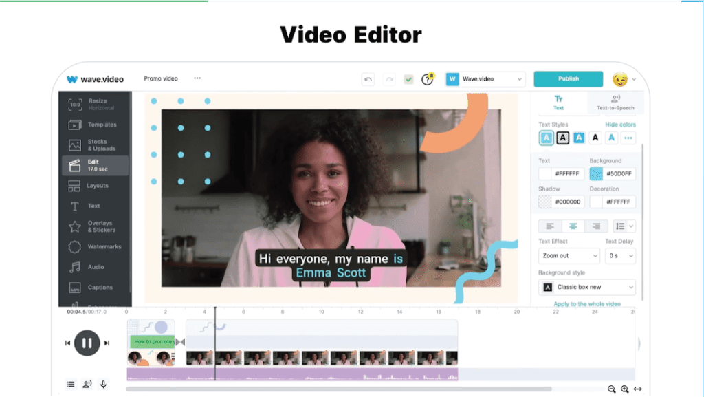 Webinar-Video-Editor