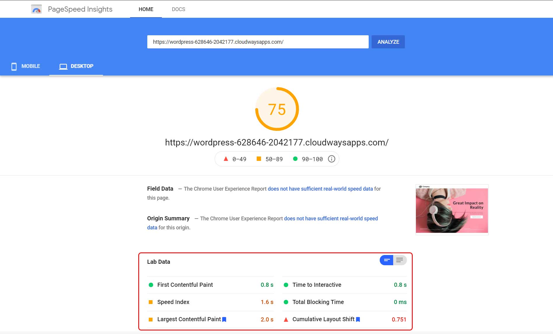 PageSpeed Insight 测试结果 SeedProd