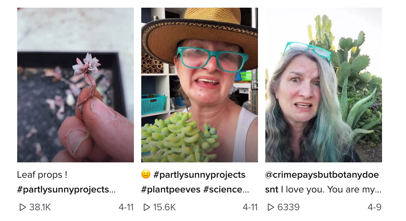 A screengrab of Partly Sunny Projects on TikTok