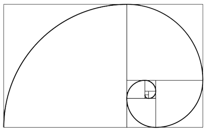 The Golden Ratio concept depicting a spiral that looks like a sea shell.