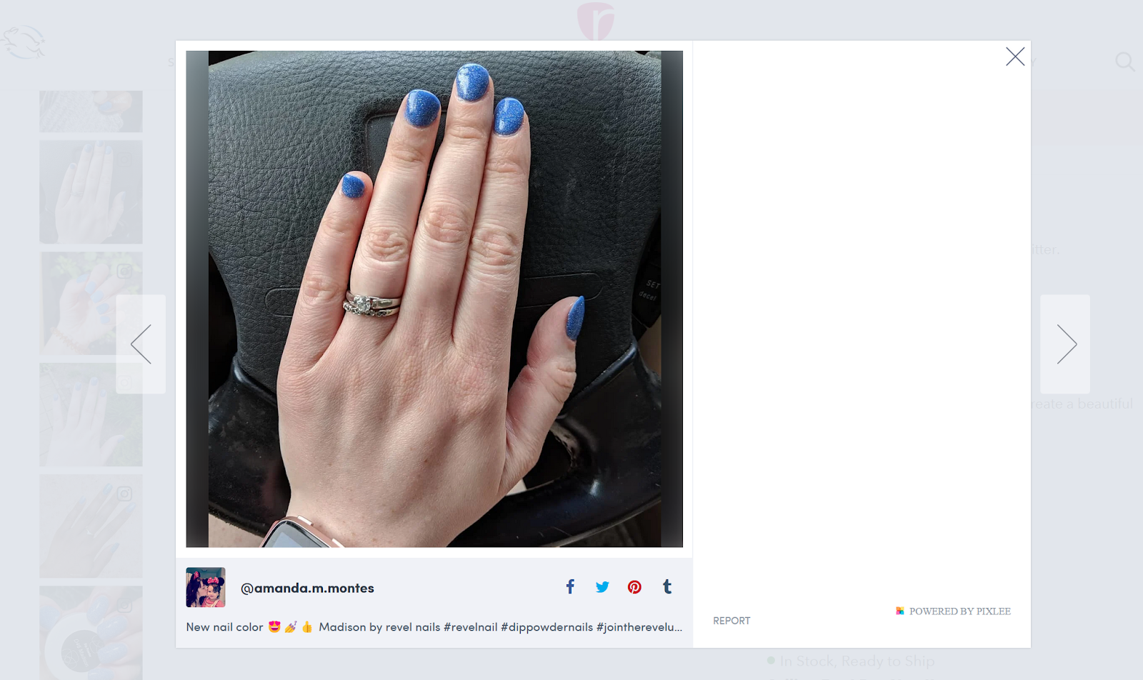 파란색 매니큐어에 대한 Revel Nail의 웹사이트에 게재된 Instagram 게시물의 스크린샷