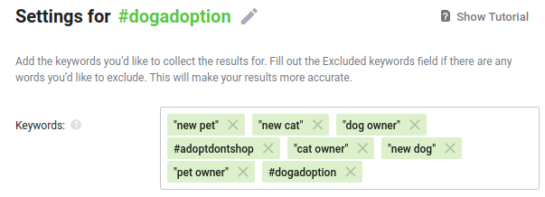 Przykład słów kluczowych związanych z adopcją zwierząt