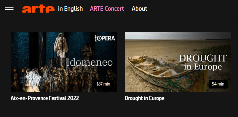 Homepage Arte