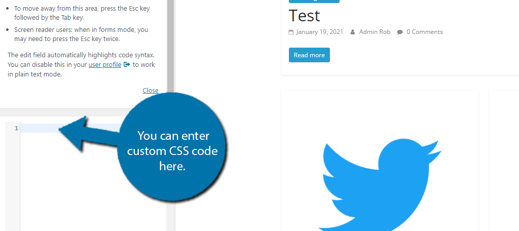 CSS personalizado do WordPress