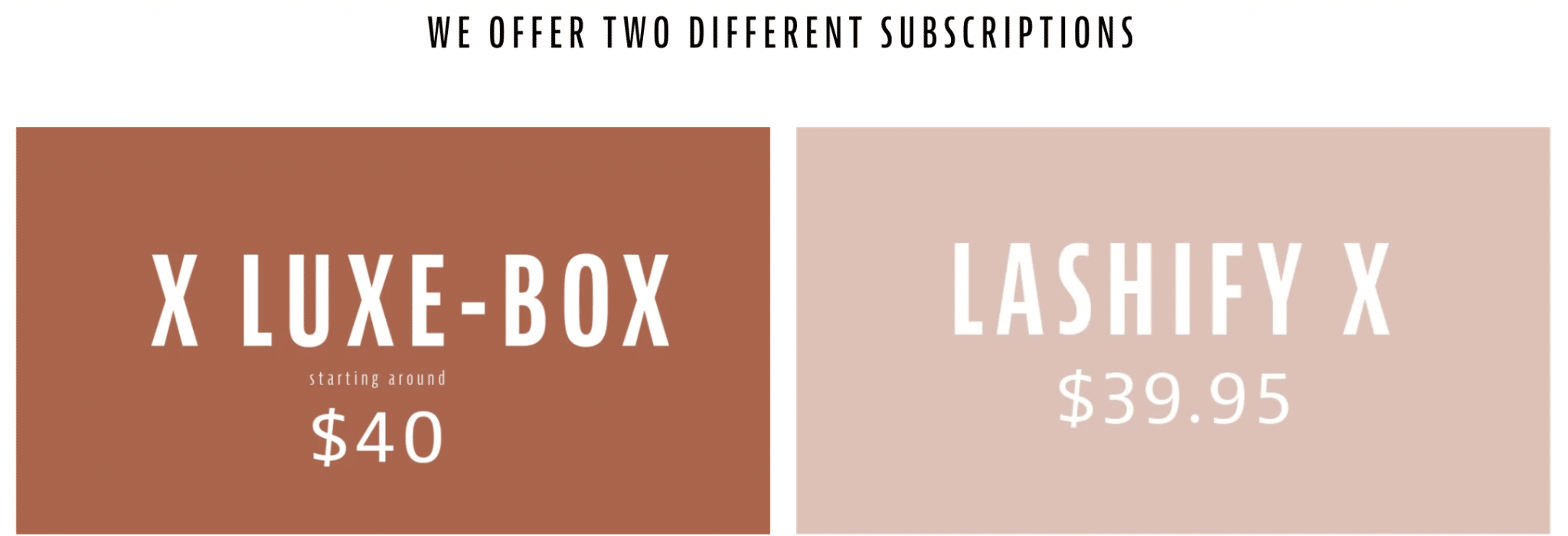 Brown banner showing two subscription options