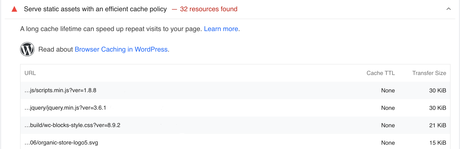 Sirva recursos estáticos com problema de política de cache eficiente no GooglePage Insights