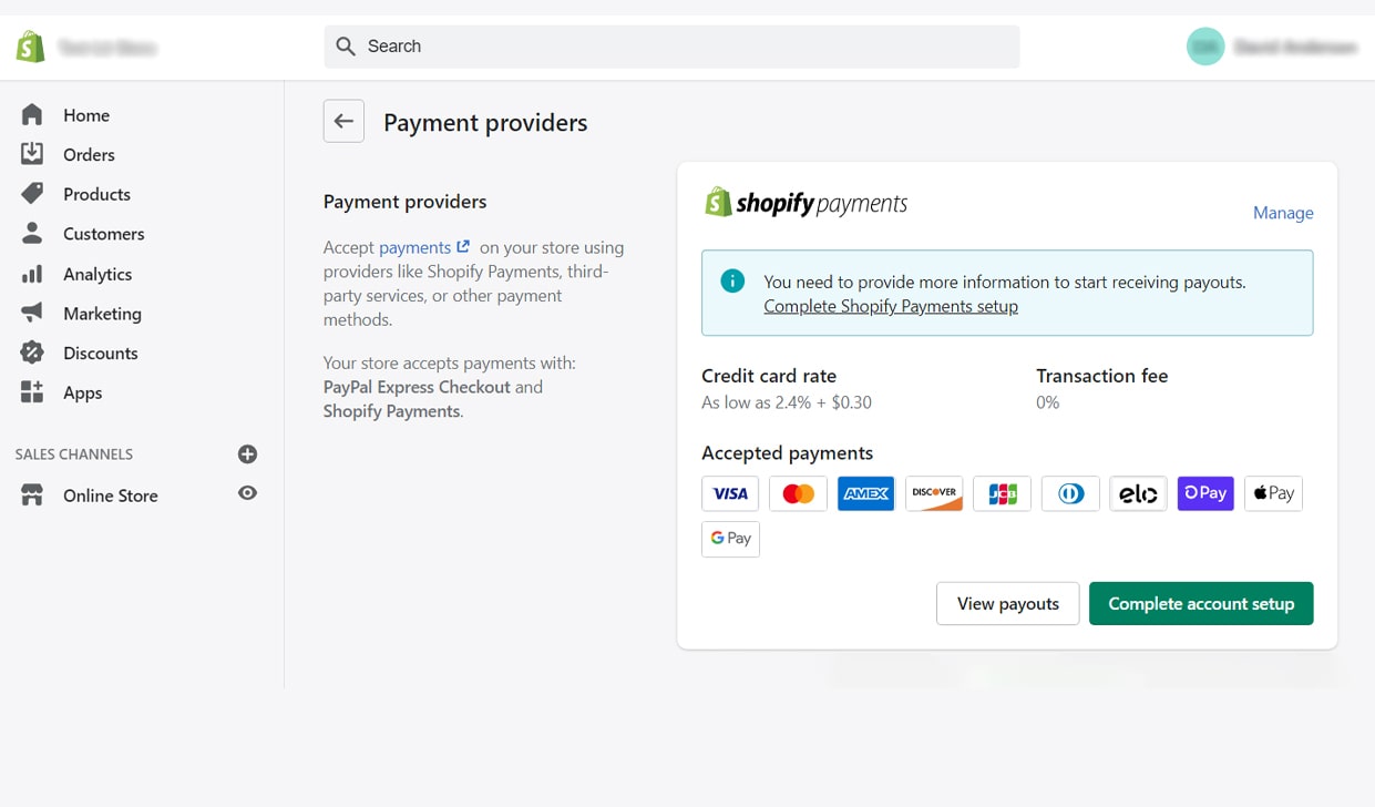 Shopify Payment options