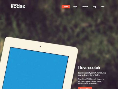 Kodax WordPress Teması