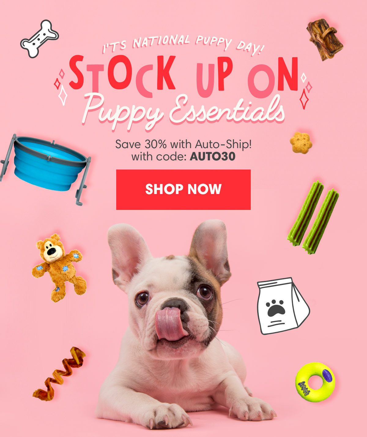 National Puppy Day August newsletter by Petflow