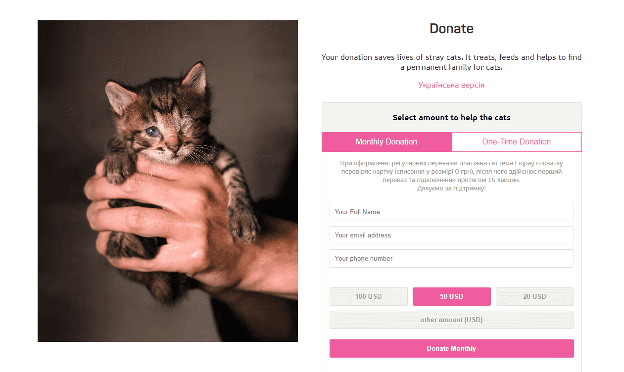 Ideias para boletins informativos sobre gatos para o mês de outubro