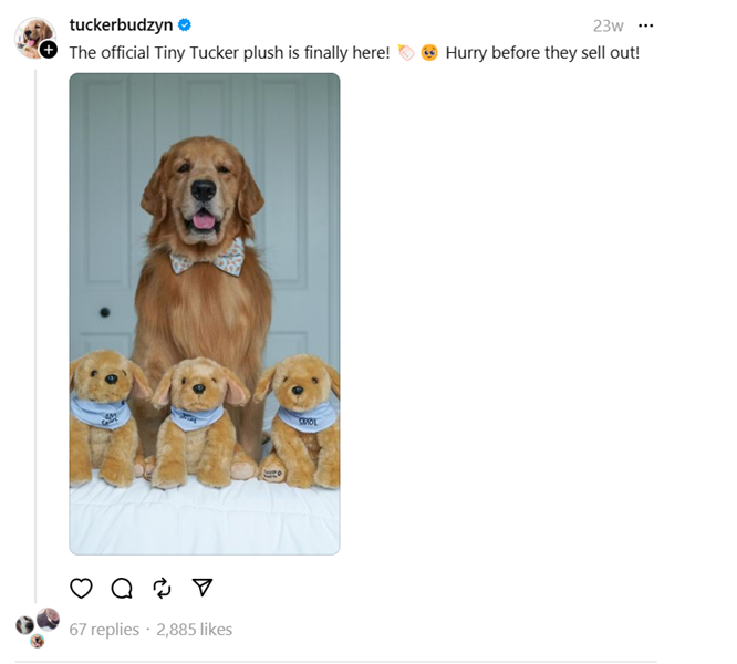 コートニー・バジンはスレッドでの愛犬の人気をどのように活用して製品を効果的に宣伝しているか