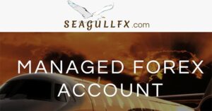 SeagullFX - 홍보할 최고의 제휴 제품 - 금융 프로그램