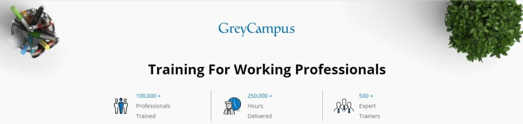 Training for Working Professionals - Grey Campus