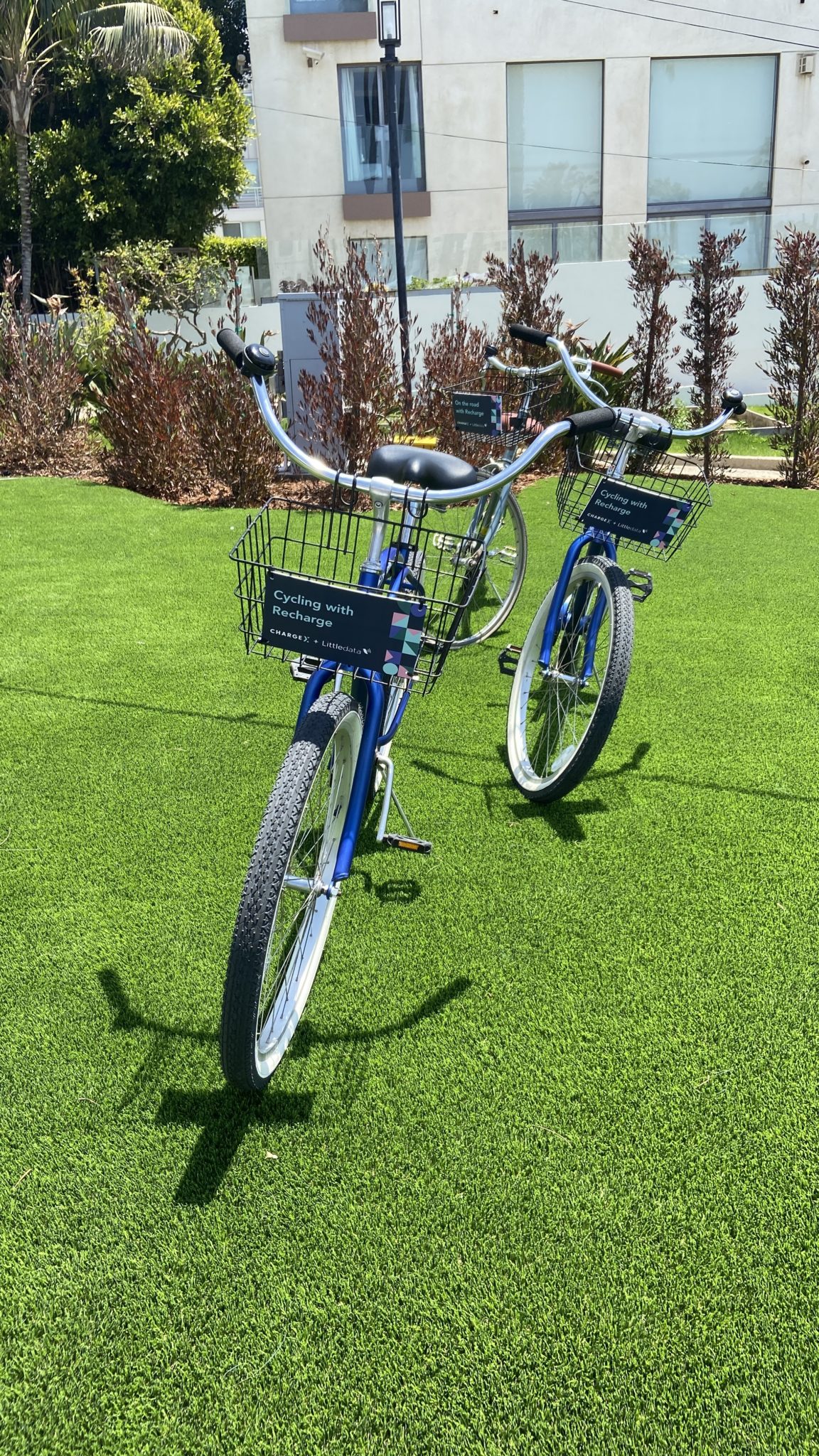 フロントバスケットにChargeXのブランドが付いた2つの青いバイクが、参加者が乗れるように草の上にキックスタンドを置いて立っています。